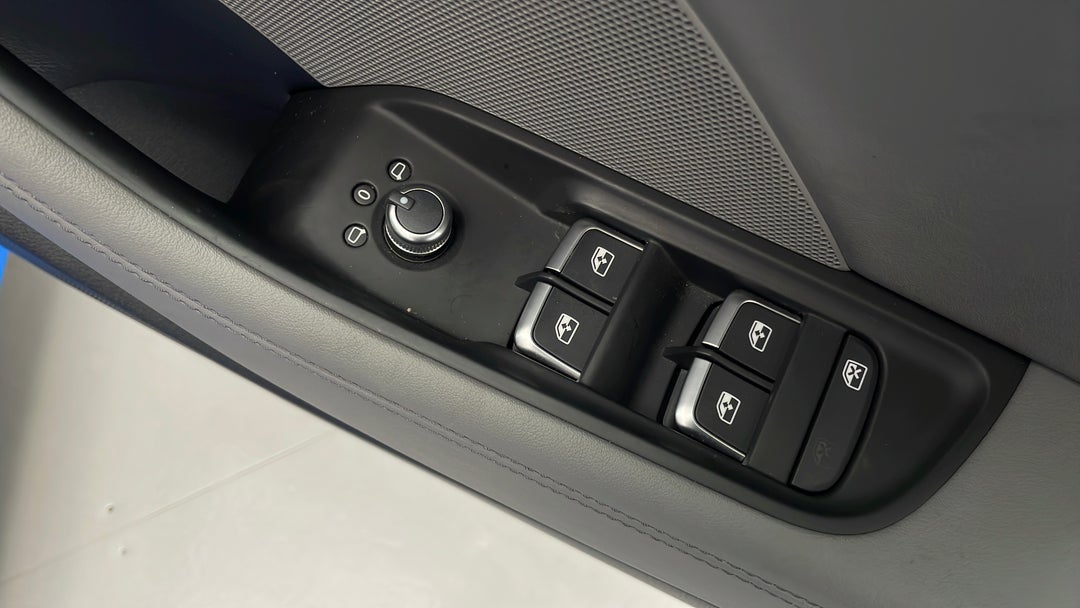 Drivers Side Door Panel Controls