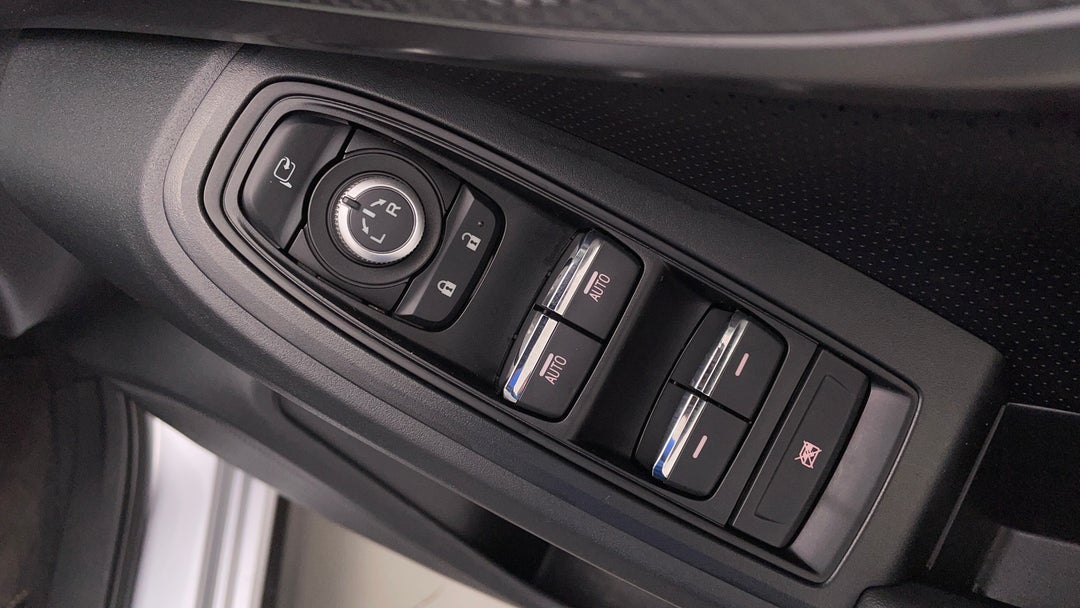 Drivers Side Door Panel Controls