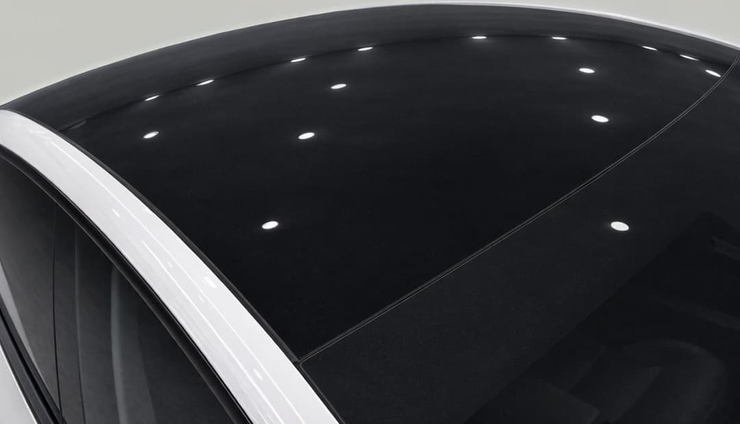 2022 Tesla Model Y Rear-wheel Drive, Automatic, 59496 km, Roof/Sunroof View
