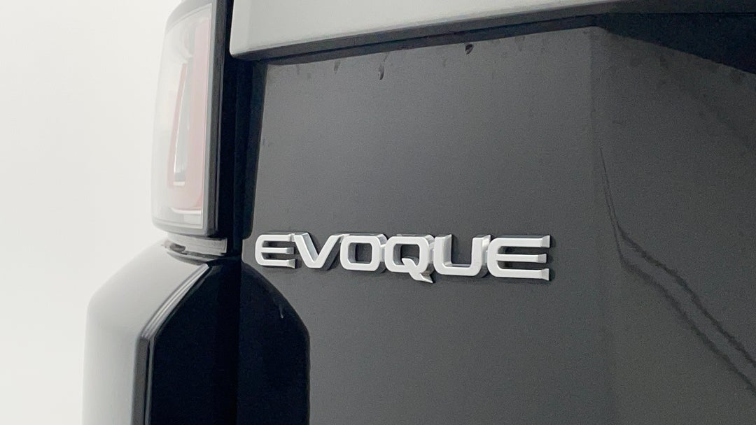 Badge (Boot Left Side)