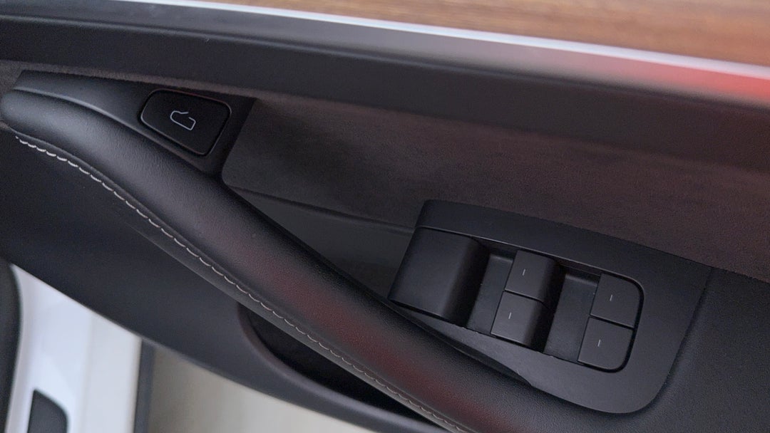 Drivers Side Door Panel Controls