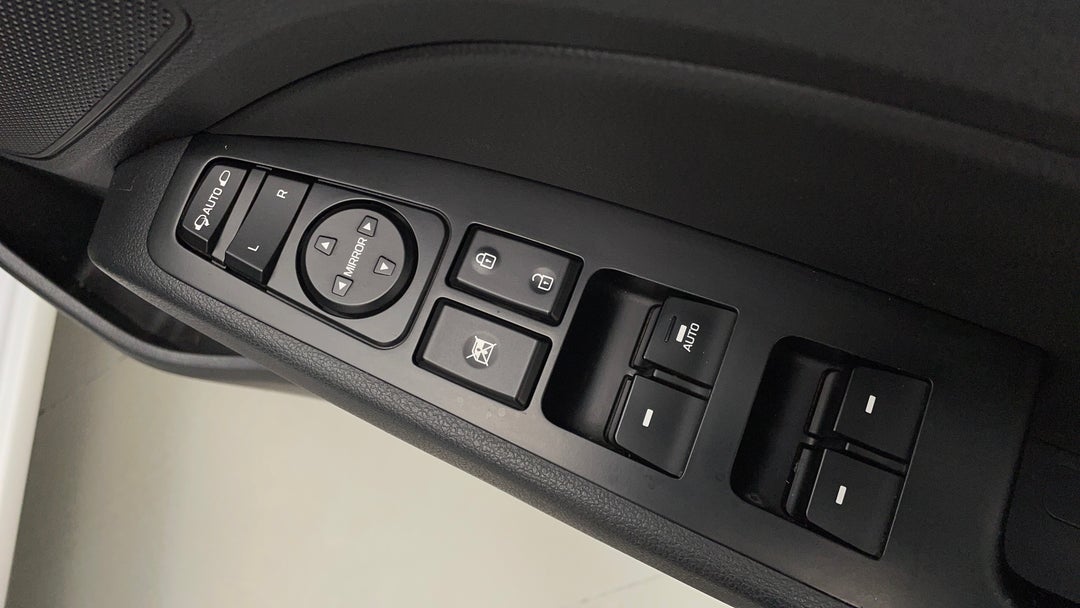Drivers Side Door Panel Controls