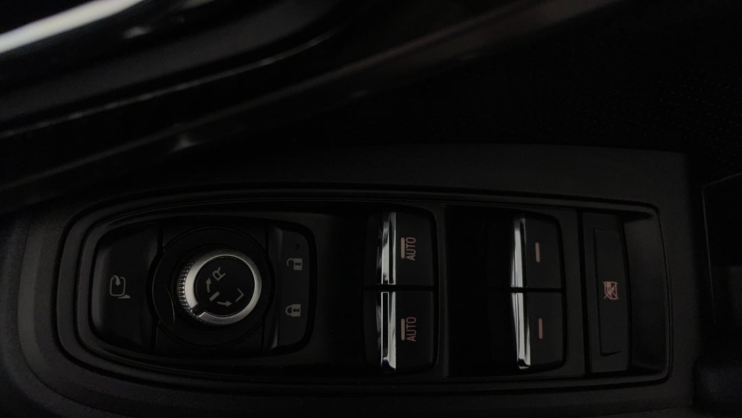 Drivers Side Door Panel Controls