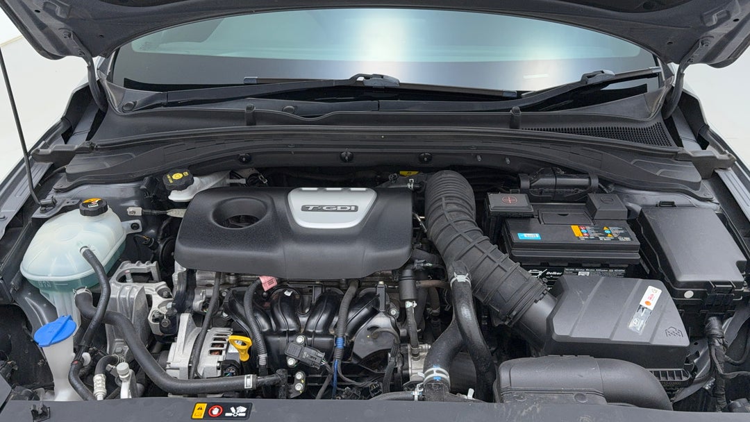 Open Bonnet (Engine)