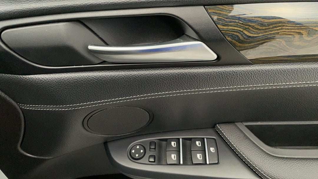 Drivers Side Door Panel Controls
