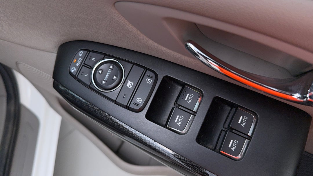 Drivers Side Door Panel Controls