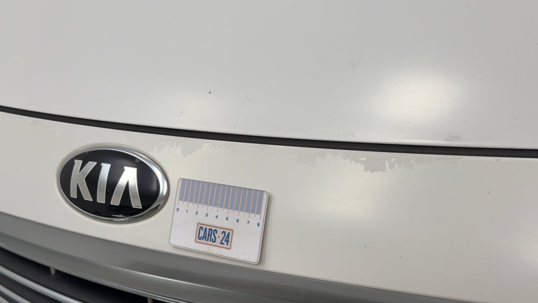 Bumper Front Paint flaking