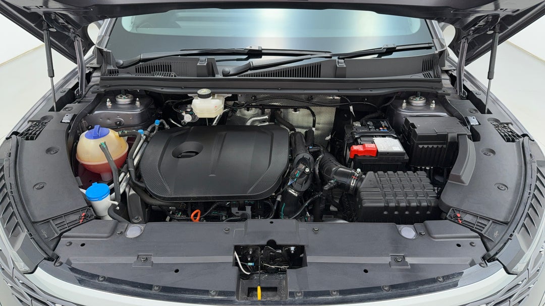 Open Bonnet (Engine)