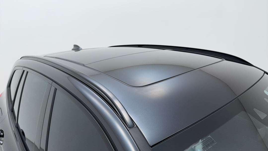 Roof/Sunroof View