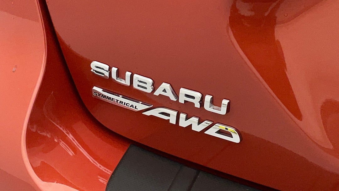 Badge (Boot Left Side)