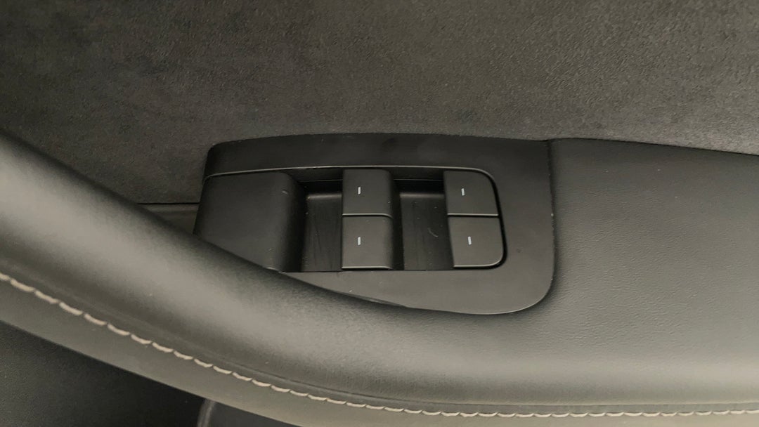 Drivers Side Door Panel Controls