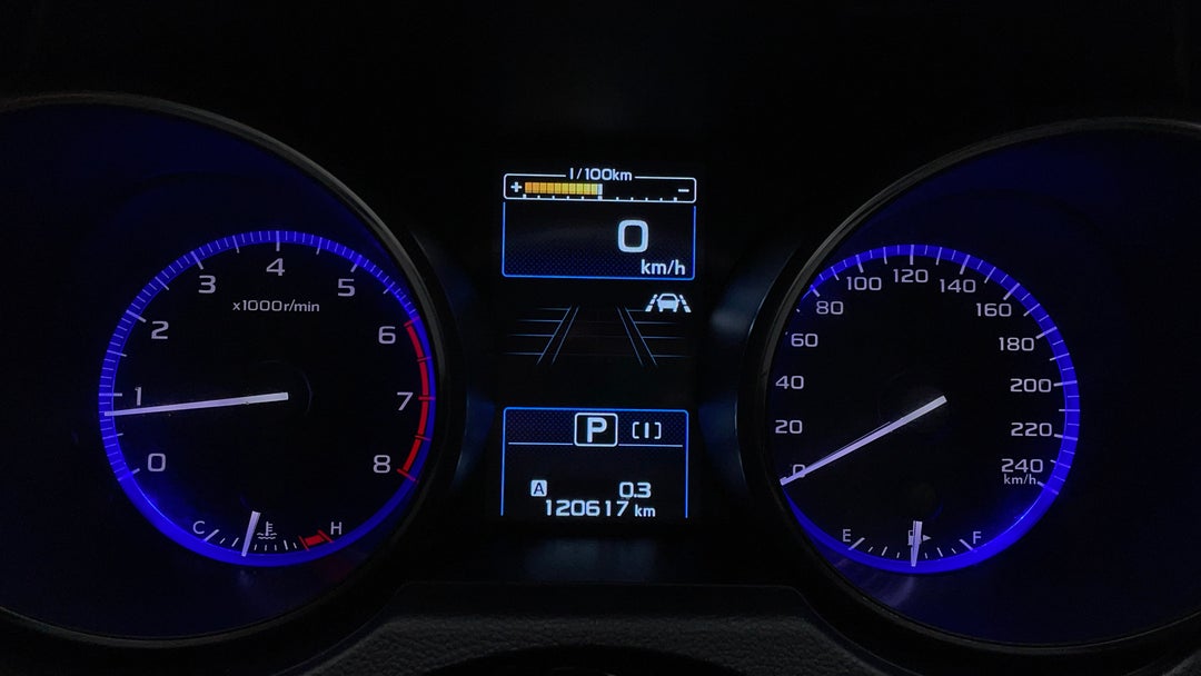 Odometer View