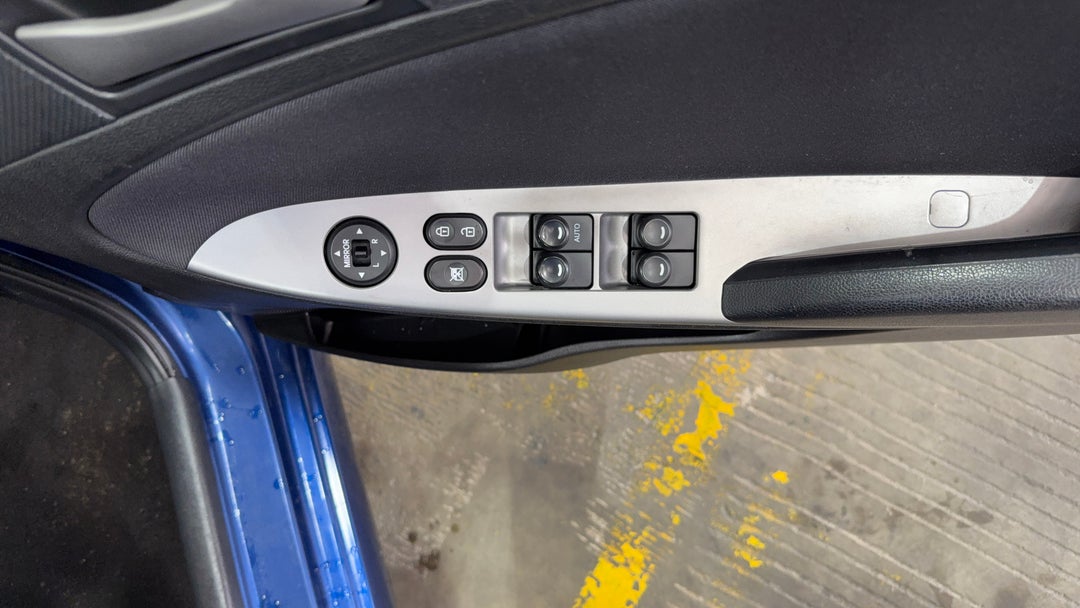 Drivers Side Door Panel Controls