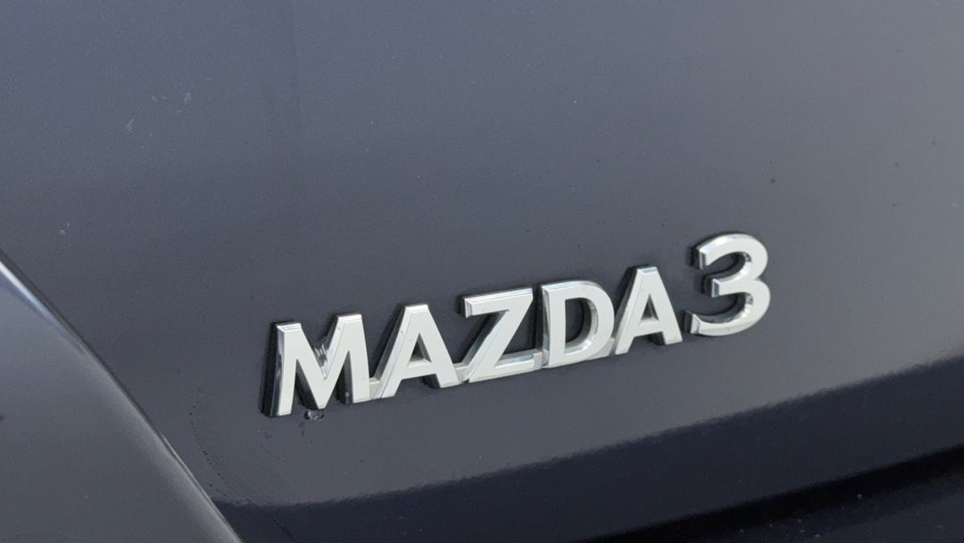 Badge (Boot Left Side)