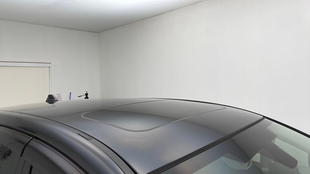 Roof/Sunroof View