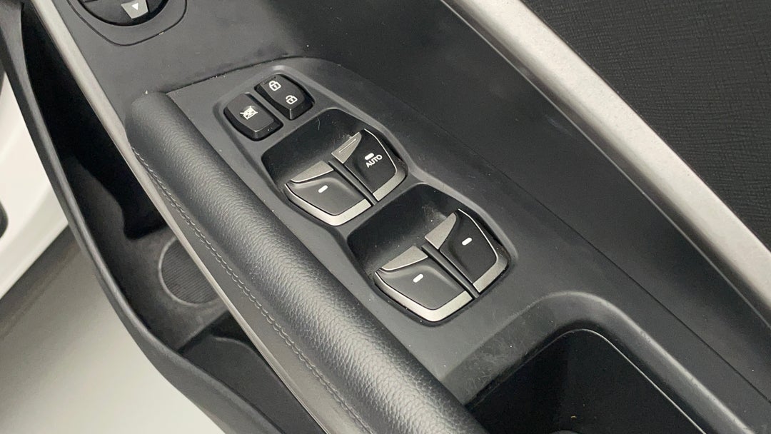 Drivers Side Door Panel Controls