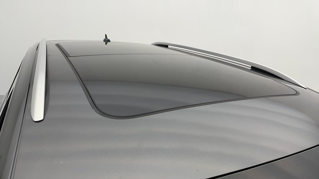 Roof/Sunroof View