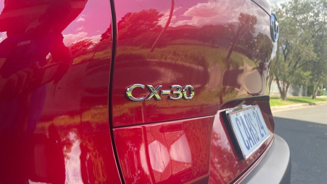 Badge (Boot Left Side)