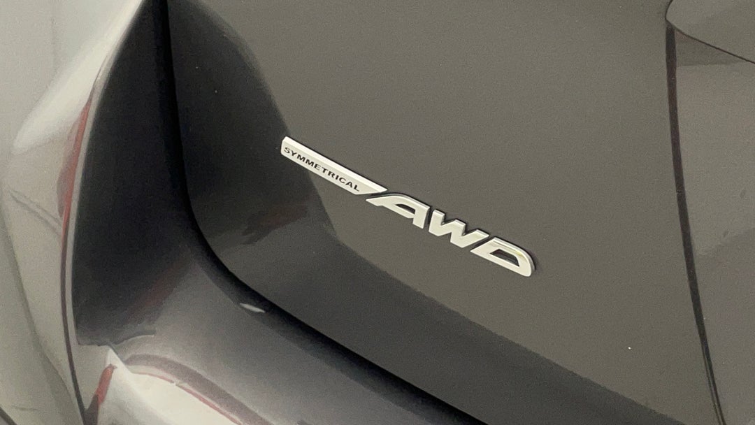 Badge (Boot Left Side)