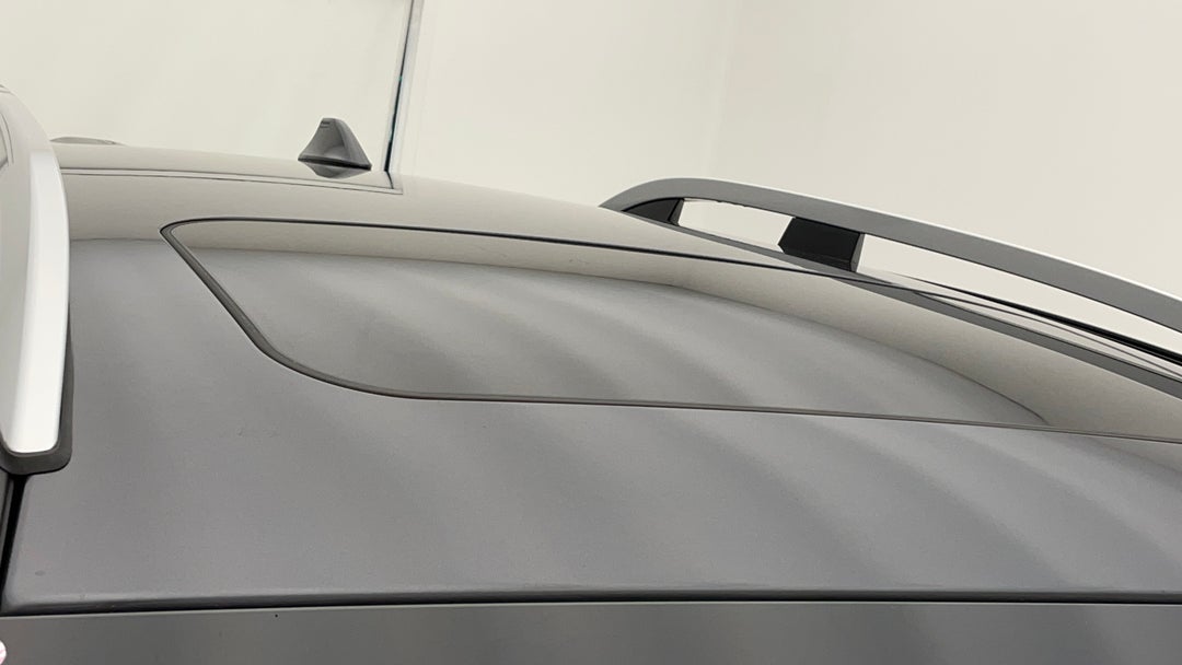 Roof/Sunroof View