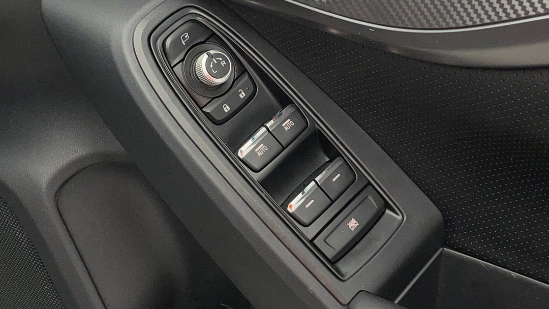 Drivers Side Door Panel Controls