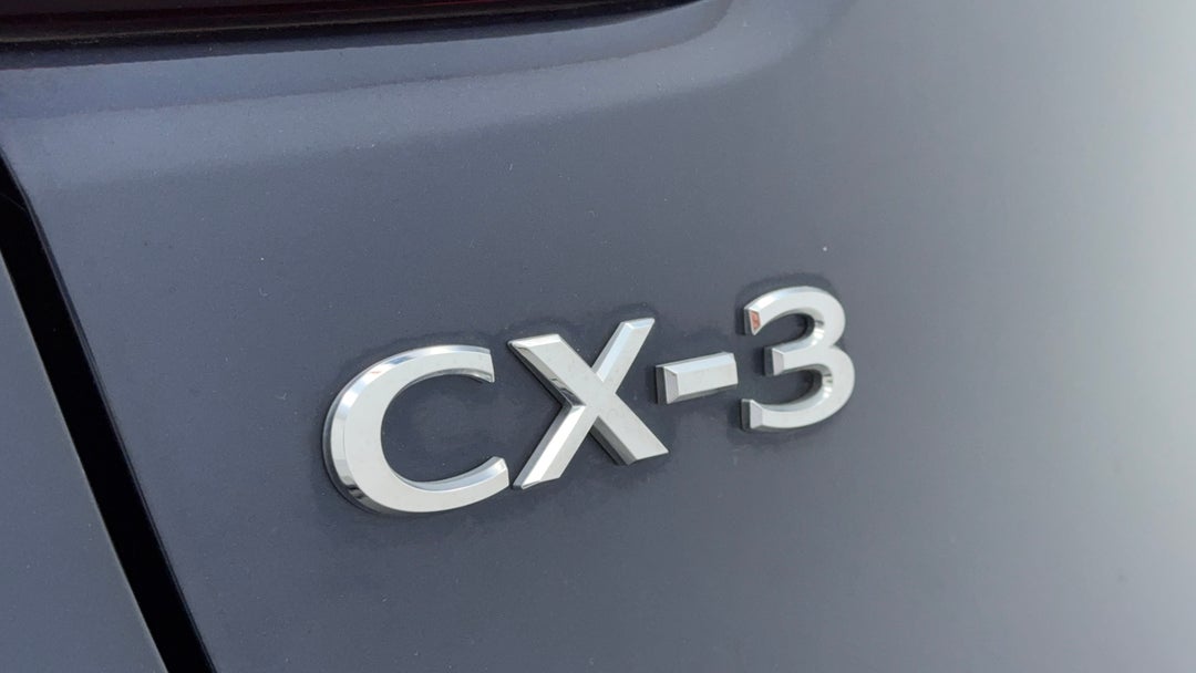 Badge (Boot Left Side)