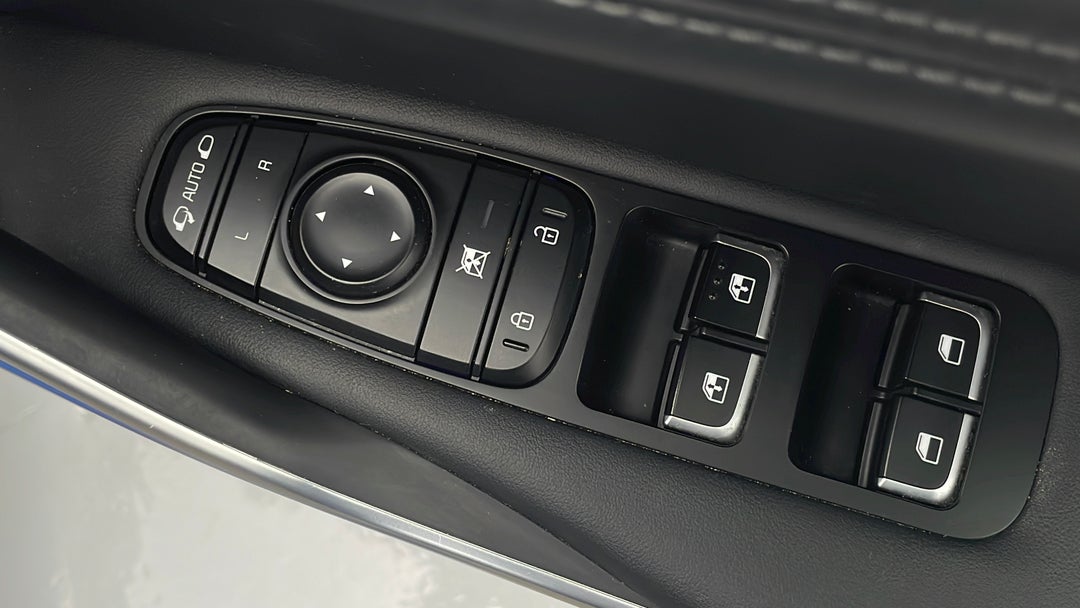 Drivers Side Door Panel Controls
