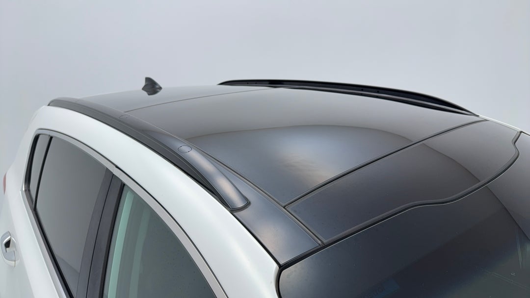 Roof/Sunroof View