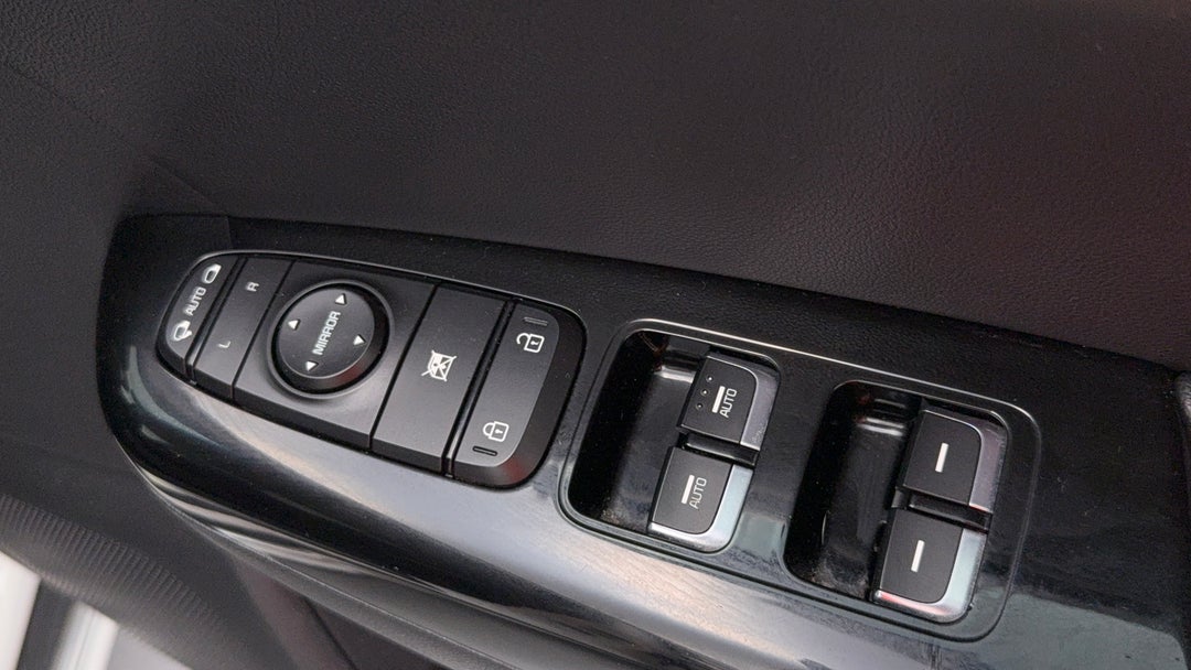 Drivers Side Door Panel Controls