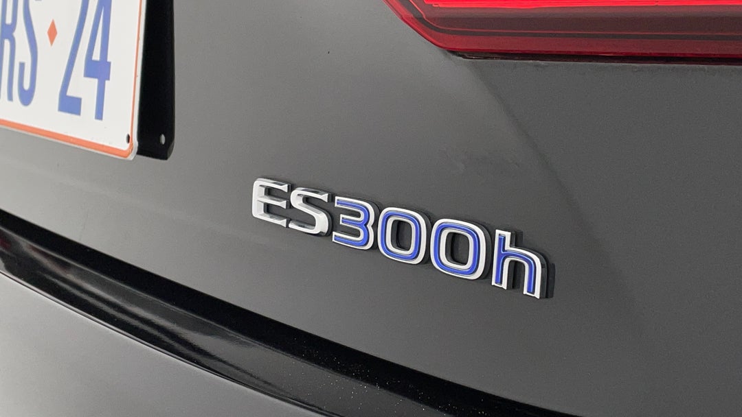 Badge (Boot Right Side)