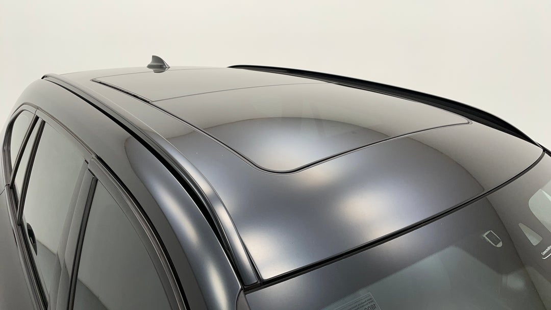Roof/Sunroof View