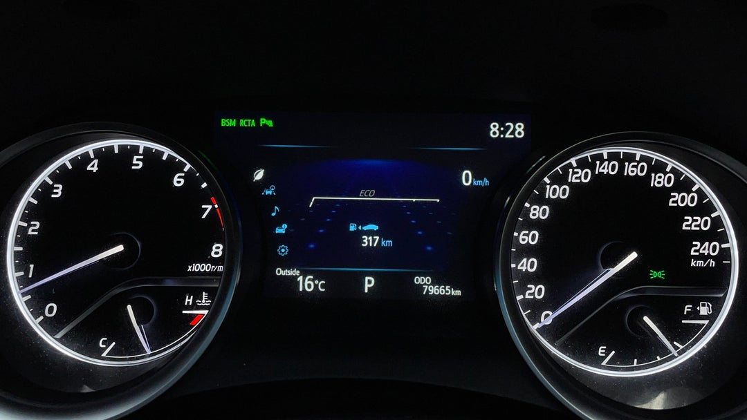 Odometer View