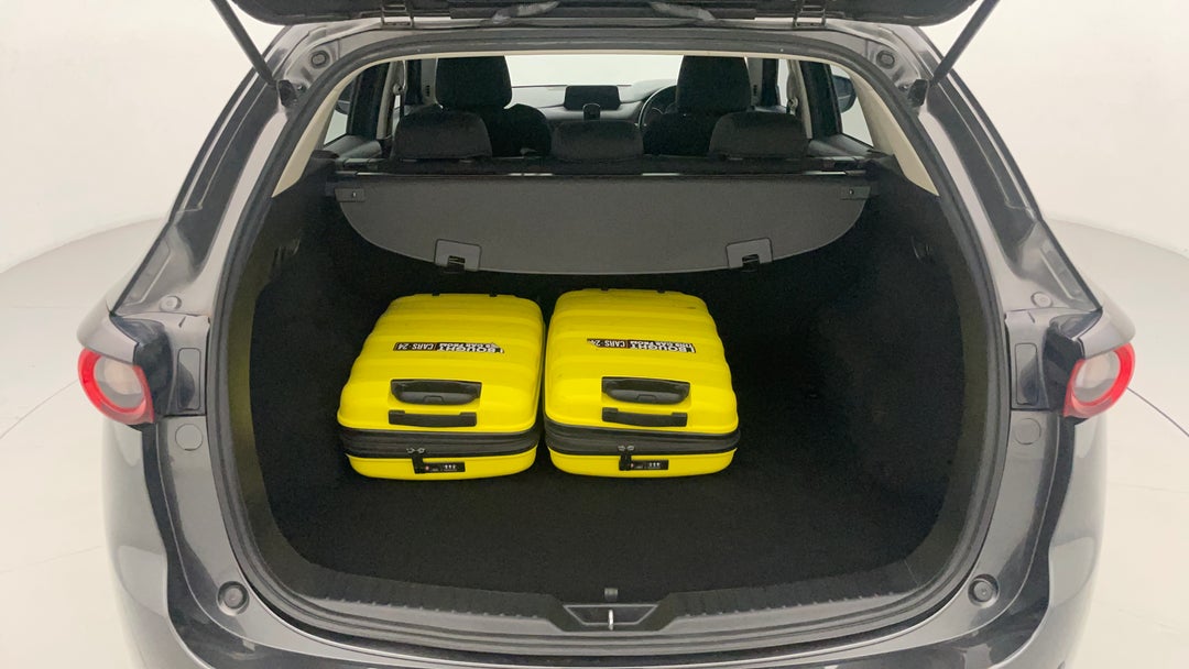 Boot Inside View with Luggage