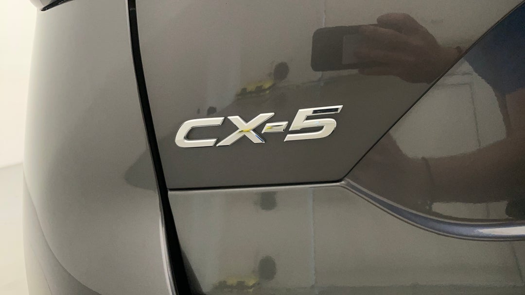 Badge (Boot Left Side)