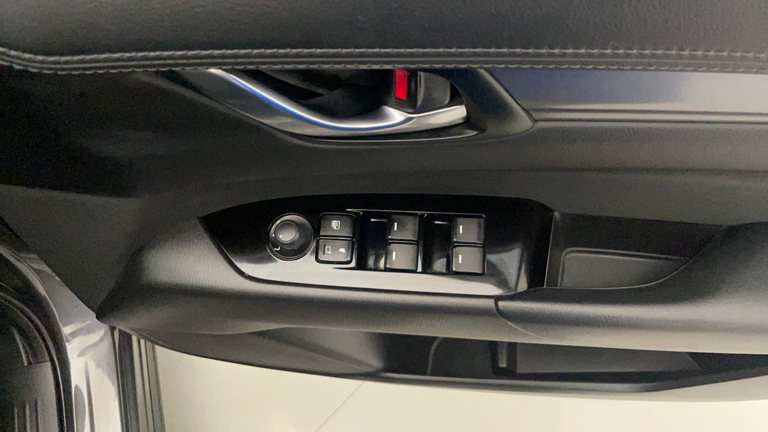 Drivers Side Door Panel Controls