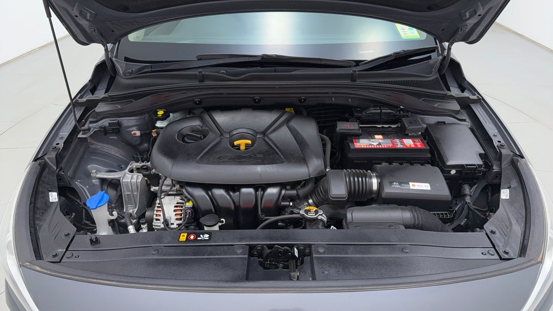 Open Bonnet (Engine)