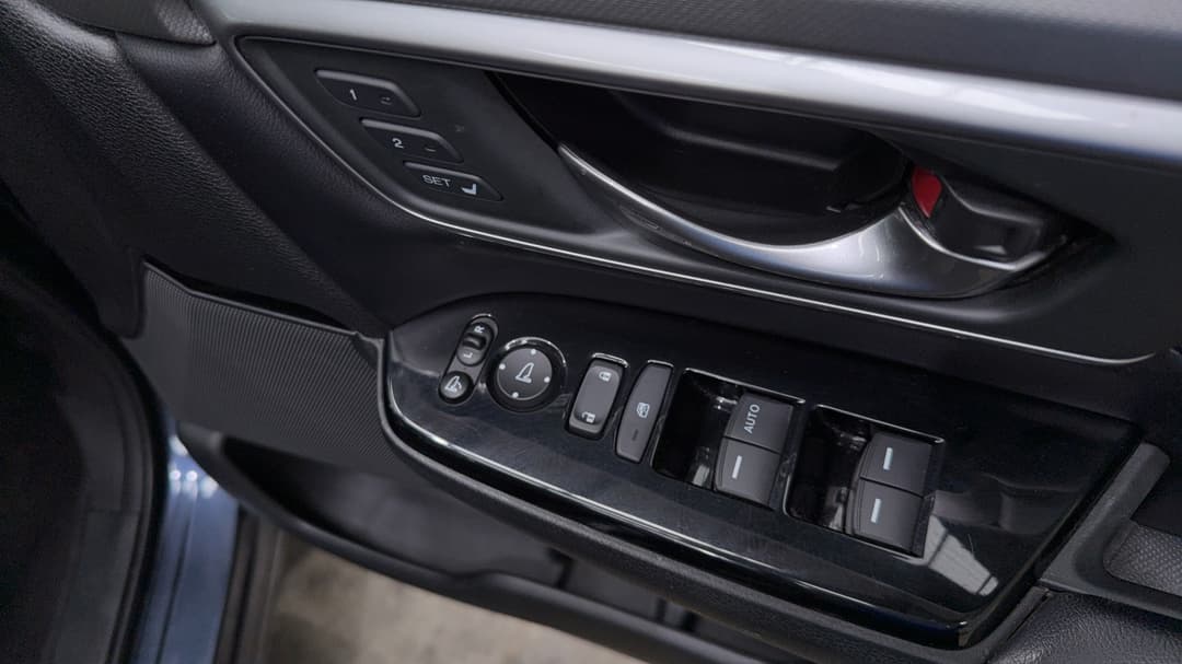 Drivers Side Door Panel Controls
