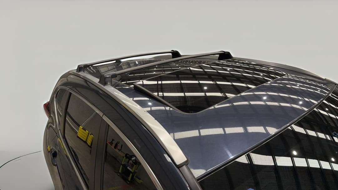Roof/Sunroof View