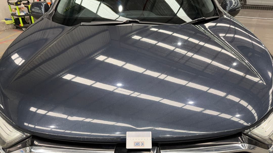 Bonnet Chip