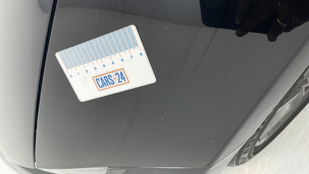 Quarter Panel Front LHS Guard Chip