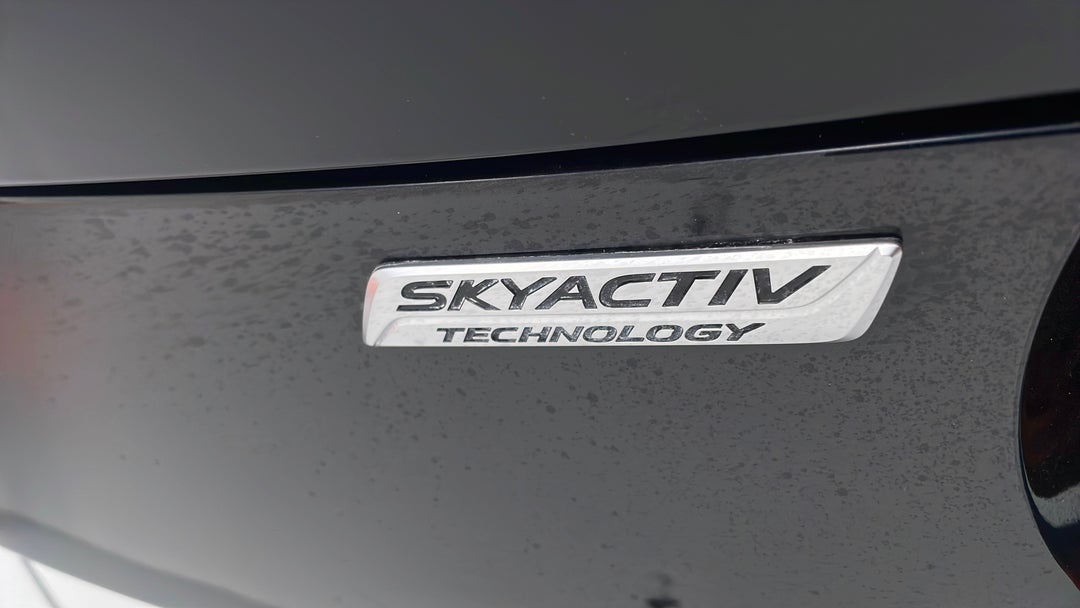 Badge (Boot Left Side)