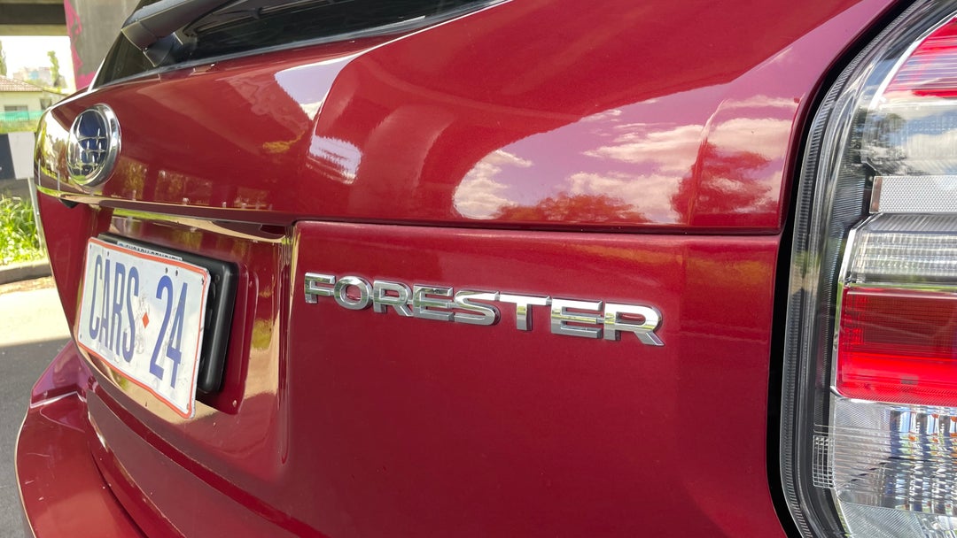 Badge (Boot Right Side)