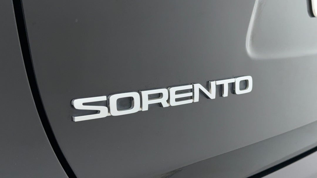 Badge (Boot Left Side)