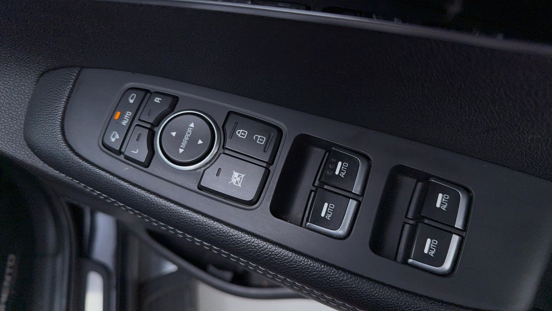 Drivers Side Door Panel Controls