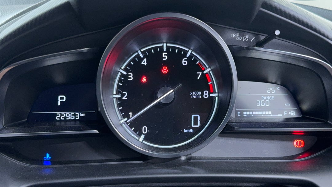 Odometer View