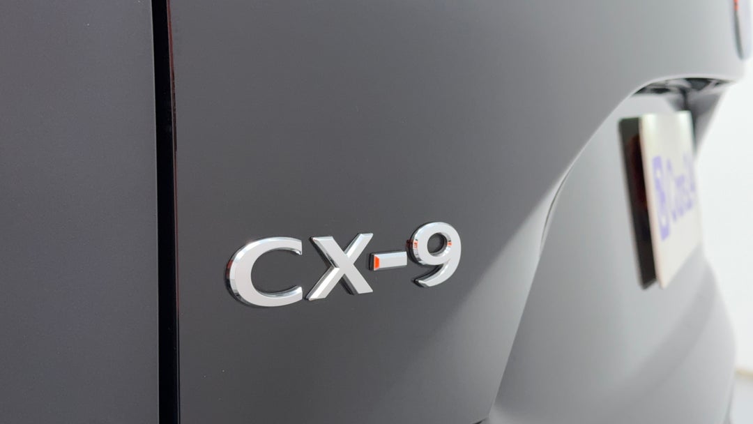 Badge (Boot Left Side)