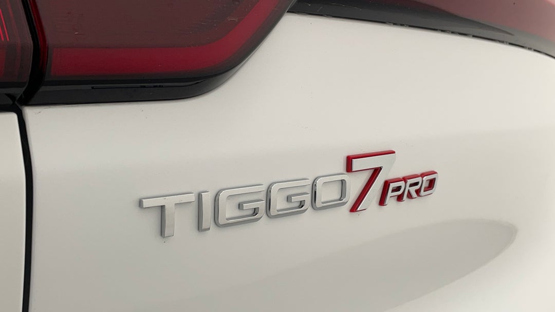 Badge (Boot Left Side)