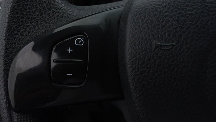 RENAULT DUSTER-Drivers Control
