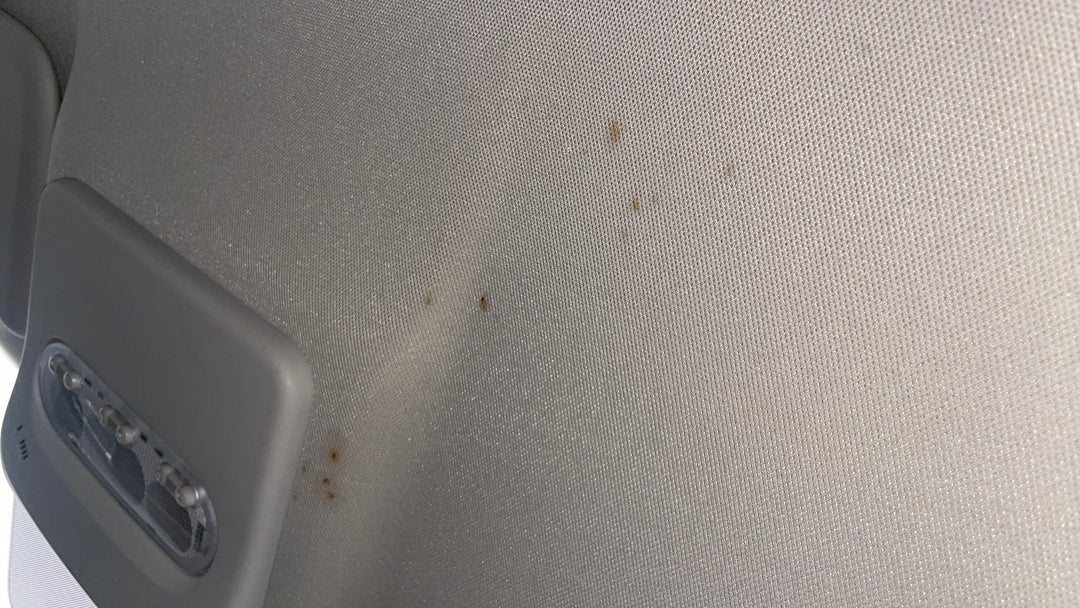 Roof Liner Stain