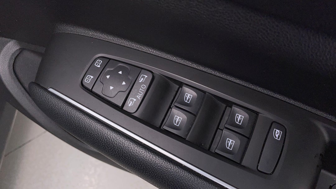Drivers Side Door Panel Controls